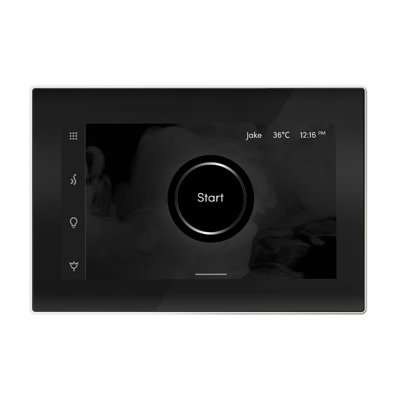 iSteamX Steam Shower Control and Steamhead