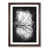 Walnut Framed
