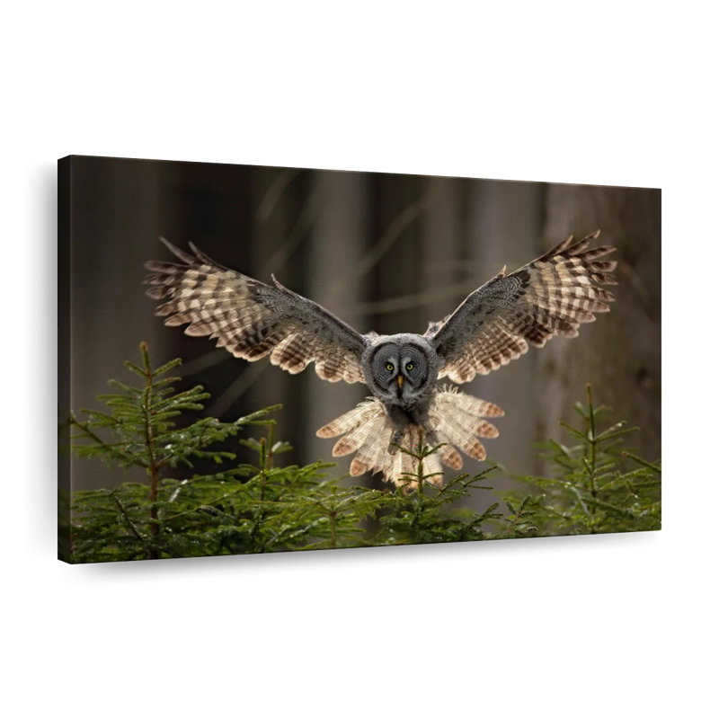 Flying Owl, reproduction sur toile, H 51 po x l 34 po x P 1,25 po