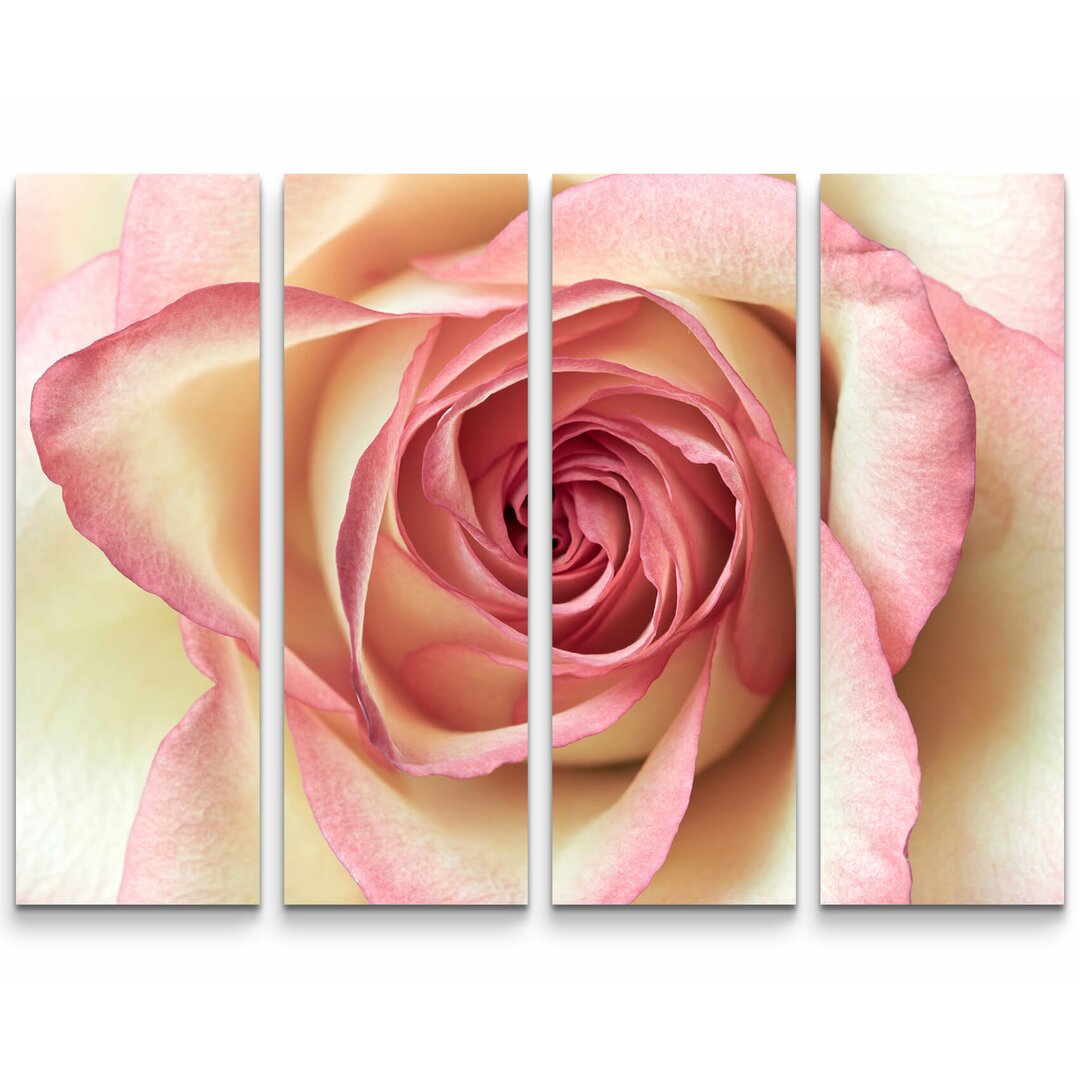 4-tlg. Leinwandbilder-Set Pinke Rose