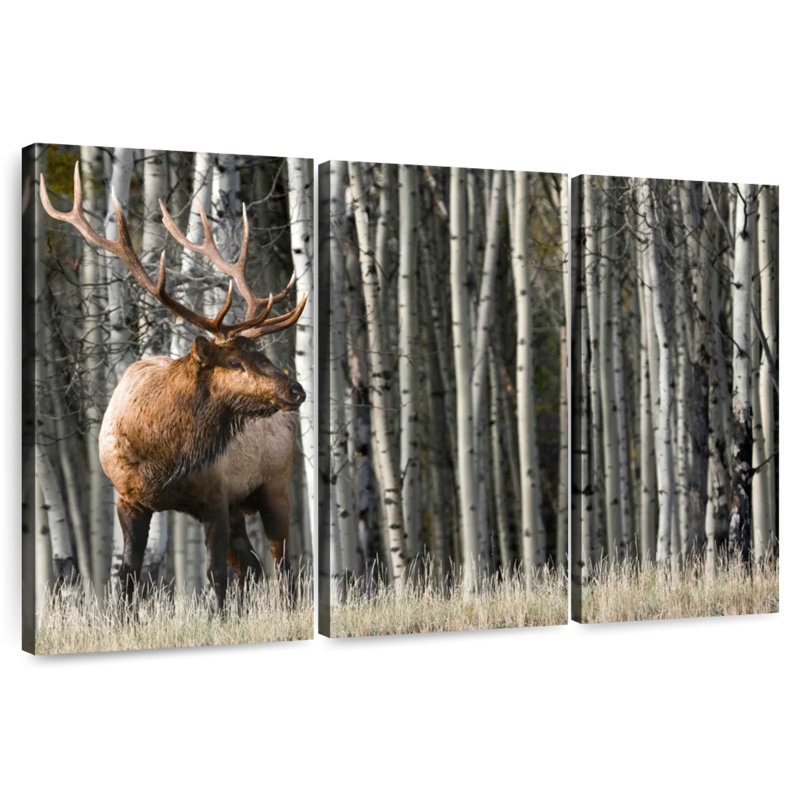 Rocky Mountain Moment, 48" H x 74" W