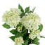 Organic Modern Hydrangea Floral Arrangement