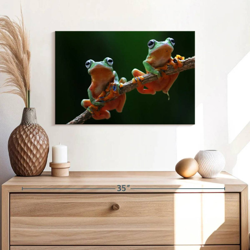 Two Wallace's Flying Frogs, 8" H x 12" W