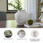 Ashly Vase-25623861