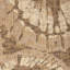 Erizo De Mar-275340765