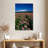 Harnek Echinacea Field-108255994