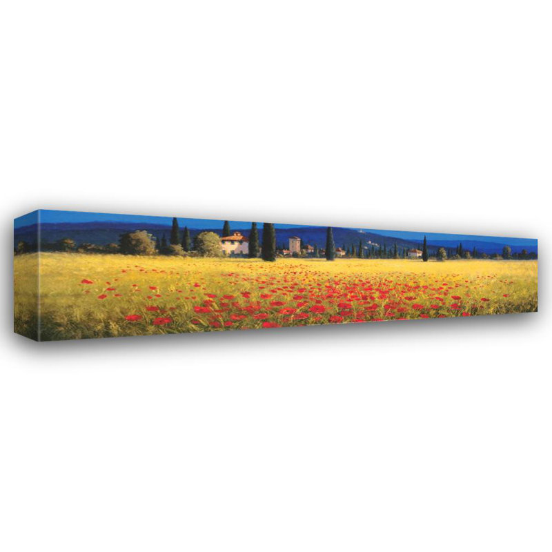 Panorama toscan - Coquelicots, H 11 po x l 40 po