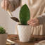 Pot à fleurs d'intérieur en plastique 5 po-1830230548