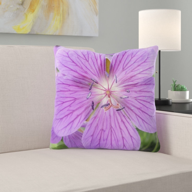 Coussin cranesbill