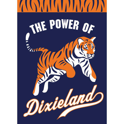 Flag Power Of Dixieland Polyester 13x18