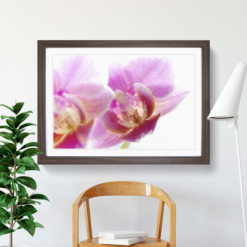 A Pink Orchid Flower - Framed Print, 33cm H x 45cm W x 2cm D, Walnut Framed