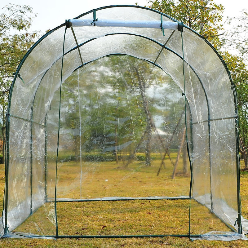 Outsunny Walk-in Polytunnel Greenhouse Roll-up Door Steel Frame 2.5 x 2m