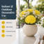 Pot de fleurs en soie-1087967427