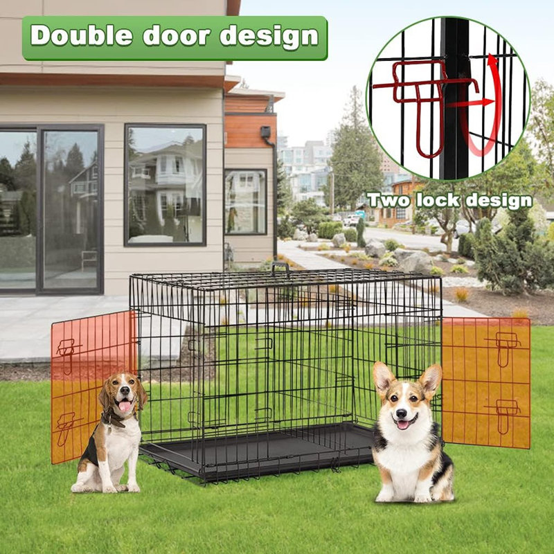  Cage pour chien pour grand chien Cage pliante en métal pour chien