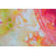 'Sweet Orange' - Wrapped Canvas Painting Print