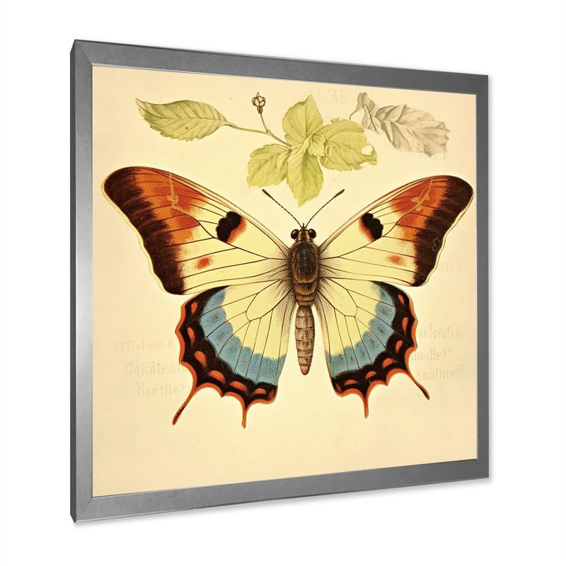 Illustration rétro d'un papillon élégant I, Cadre simple argenté, H 36 po x l 36 po x P 1,5 po