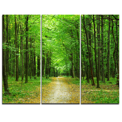 3 Piece Art Graphic Art Print