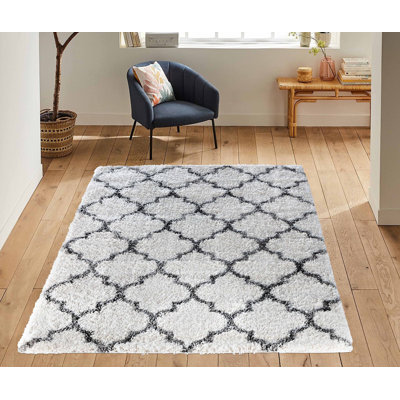 Babsy Geometric Shag Area Rug