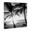 "Sunlit Palm Silhouettes", art mural par Susan Bryant
