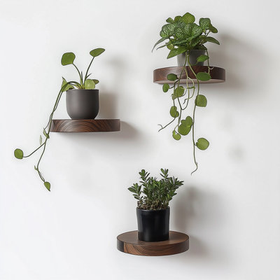 Decorative Wooden Wall Shelf