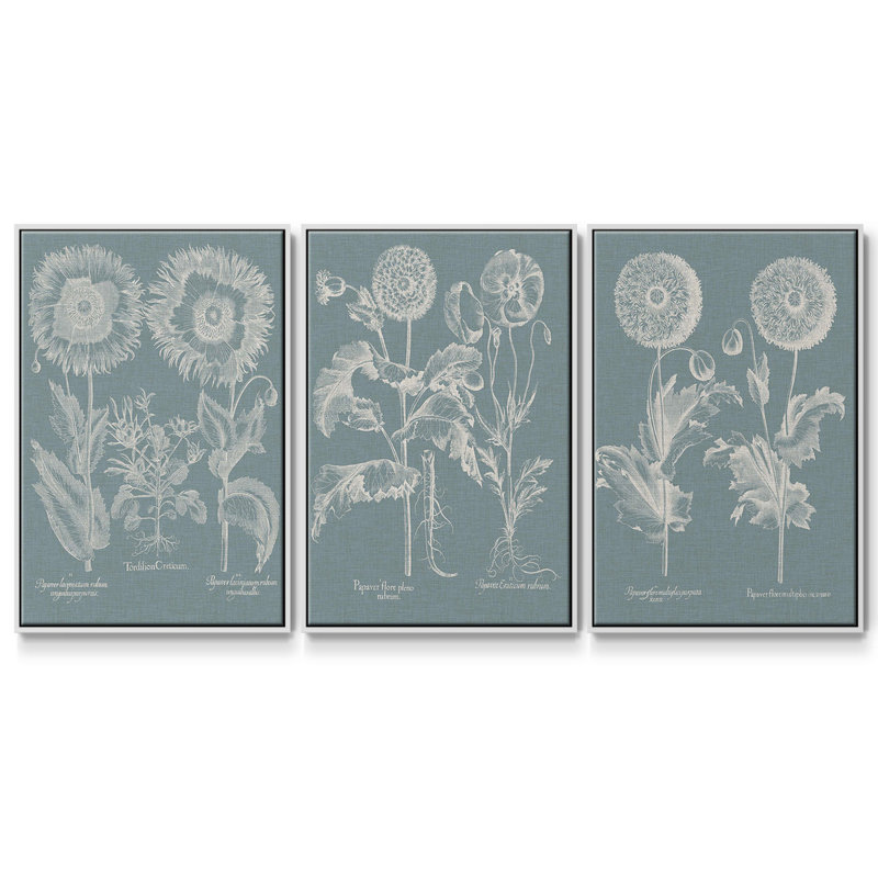 3 pièces Besler Poppies I, H 36 po x l 72 po, Blanc