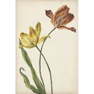 Two Tulips I - Painting