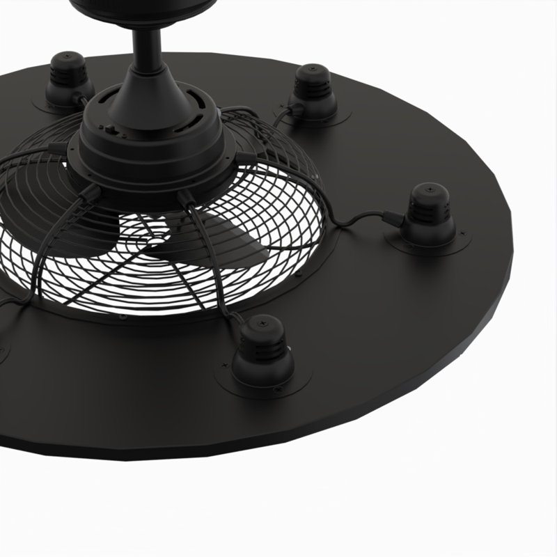 Clairene 12'' Ceiling Fan with LED Lights, Black