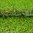 Ottomanson Outdoor Artificial Grass