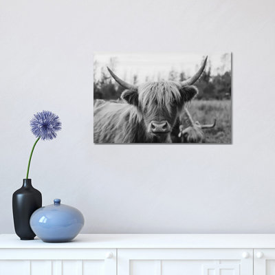 " Highland Cow Black And White " by Chelsea Victoria