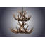 Isaac 12 - Light Chandelier-505127792-435226651-435226653