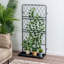 Treillis de support pour plantes Ringwald