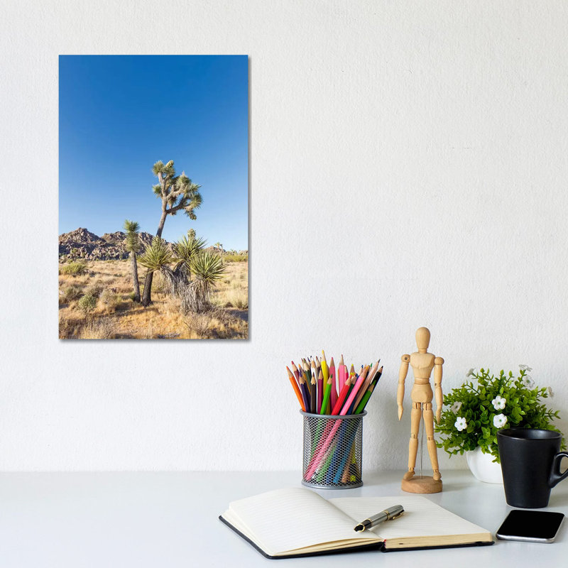 Natural Joshua Tree National Park by Melanie Viola - Wrapped Canvas Print, 20.32 cm H x 30.48 cm W