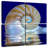 Aletra Nautilus Shell On Water-109114748