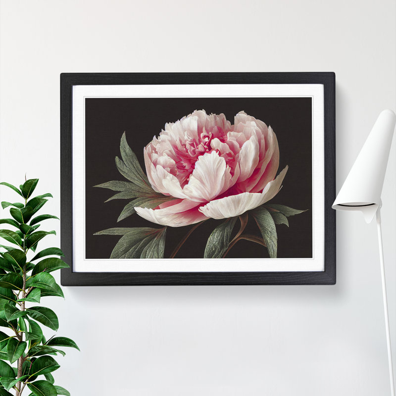 Grand Peony Flower - Print, Black, 46cm H x 64cm W