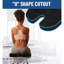 Ivy Bronx Seat Cushion