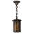 Yarber 1 - Light Bronze Lantern Pendant