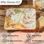  Fall Festival Orange Salad Plate Set Of 4
