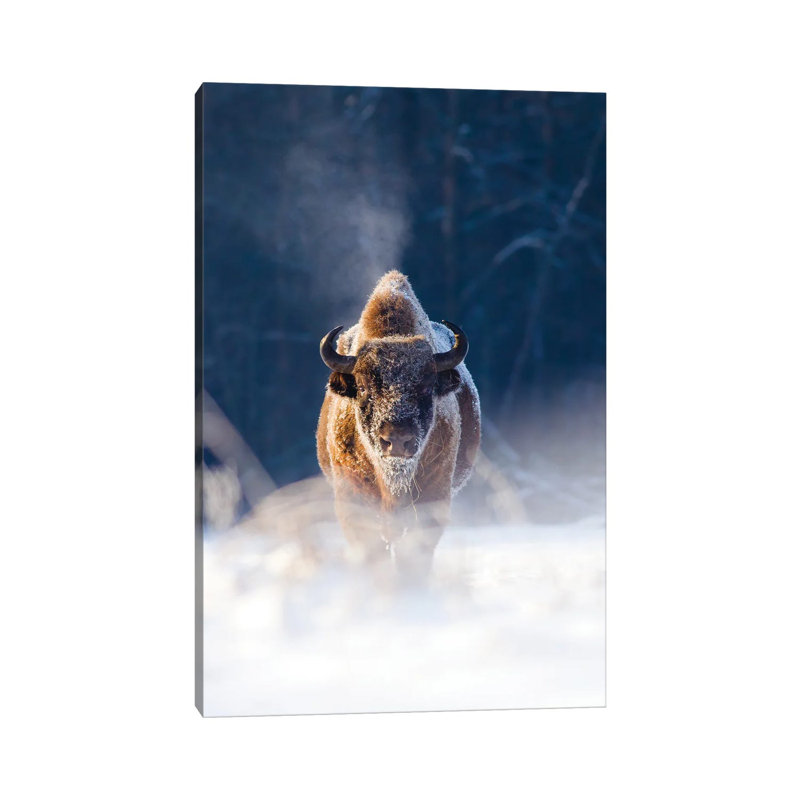 Frozen King by Mateusz Piesiak - Wrapped Canvas Print, 20.32 cm H x 30.48 cm W