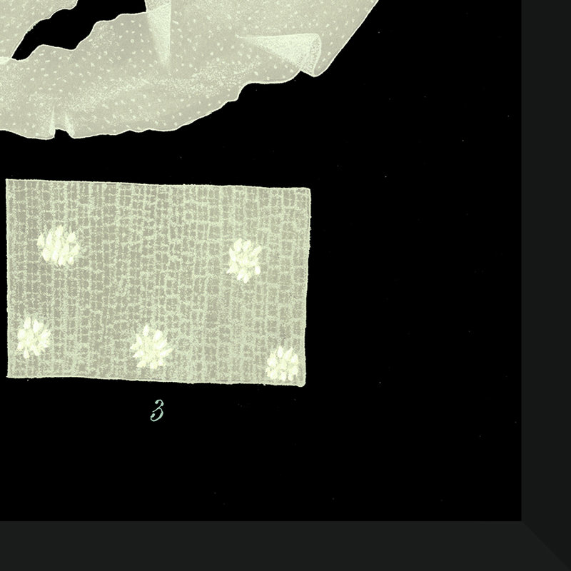 Seaweed Diagram II Framed