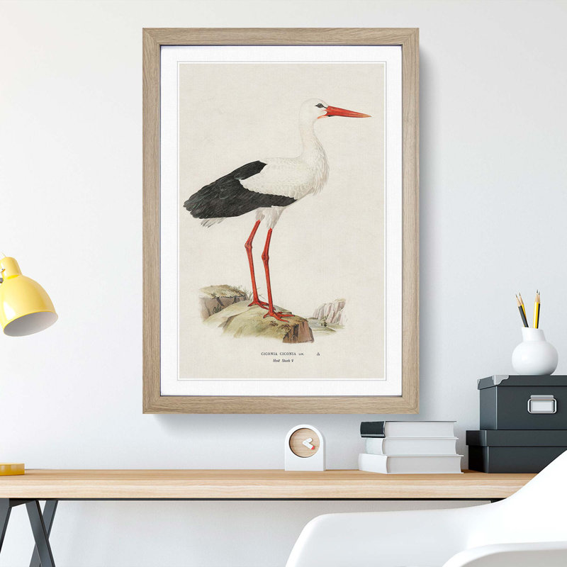 White Stark by Von Wright - Framed Print, 50cm H x 35cm W x 2cm D, Oak