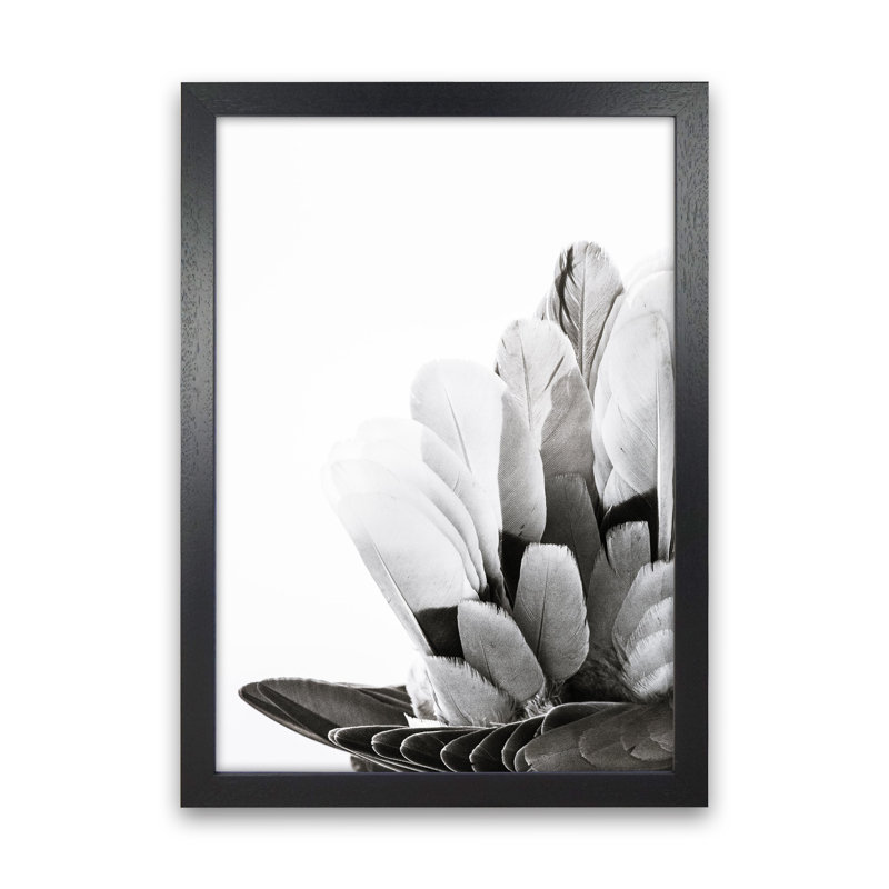 Feathers by Victoria Frost - Print, 88cm H x 64cm W x 3cm D, Black Framed