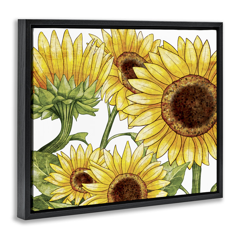 Cadre flottant Rustic Bloom Sunflowers, design par Kim Allen, Cadre flottant noir de jais, H 17 po x l 21 po