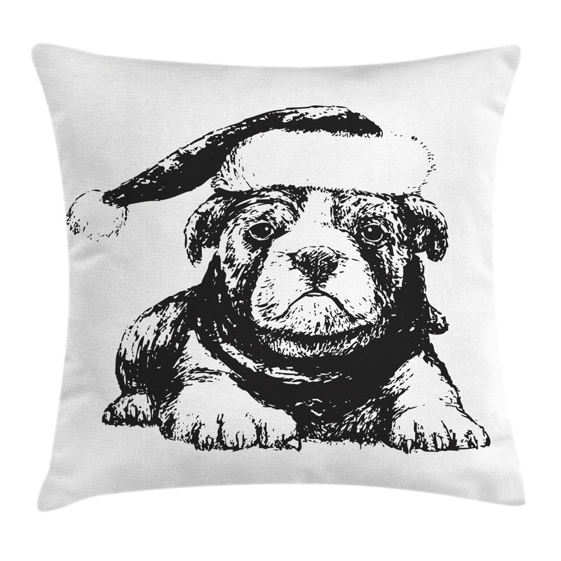 Neffs Square Scatter Cushion Cushion Cover, 24"H x 24"W