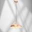 Ringsted 1 - Light Pendant