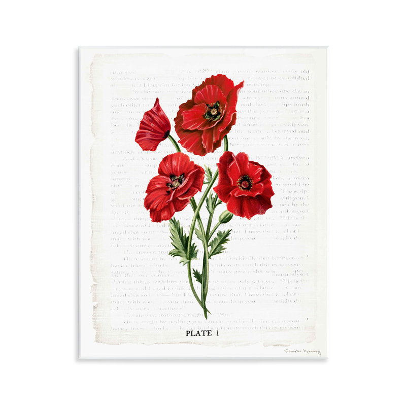 «Red Poppy Study», art mural, par Danielle Murray