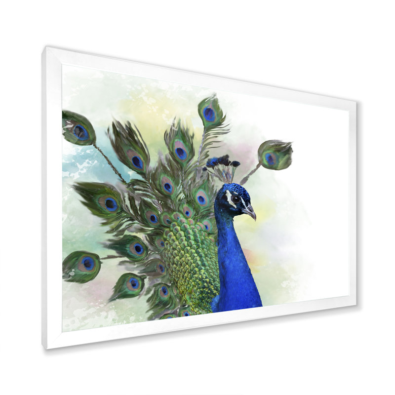 Portrait de paon - reproduction encadrée sur toile, H 16 po x l 32 po x P 1 po, Cadre photo blanc