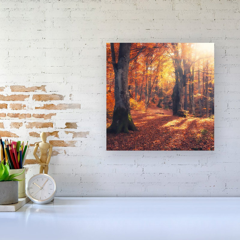 Autumn Forest - Wrapped Canvas Print
