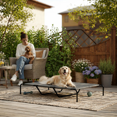 Structure pour chien en acier pour chien