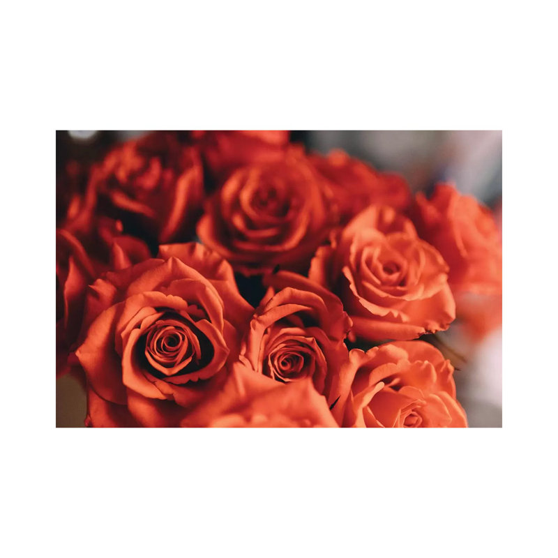 Orange Roses by Chelsea Victoria - Wrapped Canvas Print, 66.04 cm H x 45.72 cm W x 3.175 cm D
