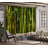 Bamboo Jungle Wall Mural-2007598524-1980751712